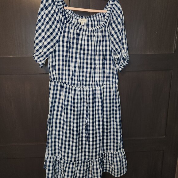 Blue and White Checked Dress - Picture 6 of 7